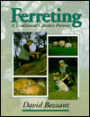 Ferretting: A Traditional Country Pursuit