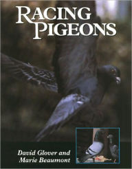 Racing Pigeons