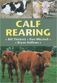 Calf Rearing