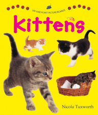 Title: Say and Point Picture Boards: Kittens, Author: Nicole Tuxworth