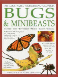 Title: Illustrated Wildlife Encyclopedia: Bugs & Minibeasts: Beetles, Bugs, Butterflies, Moths, Insects, Spiders, Author: Barbara Taylor