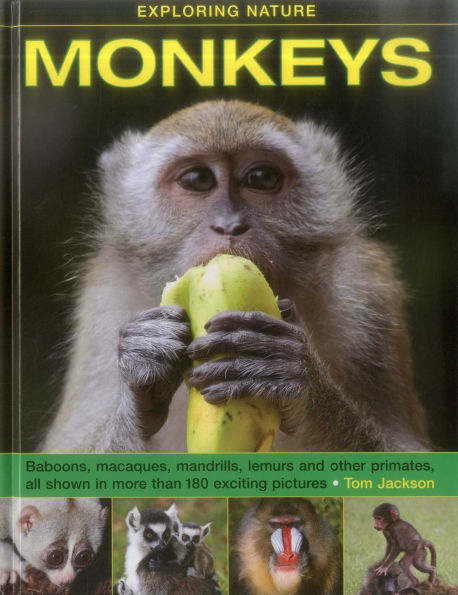 Monkeys: Baboons, Macaques, Mandrills, Lemurs And Other Primates, All Shown In More Than 180 Enticing Photographs