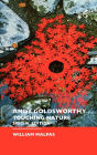Andy Goldsworthy: Special Edition / Edition 3