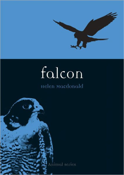 Falcon