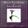 Wild Flowers
