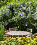 Alternative view 6 of The Gardens of the Hamptons