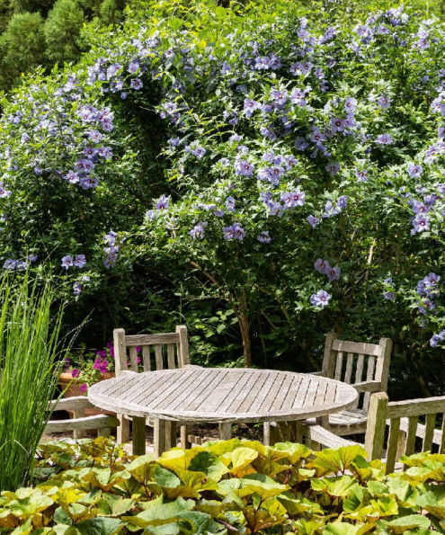 The Gardens of the Hamptons