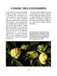 Alternative view 6 of The Gardening for Life: Biodynamic Way