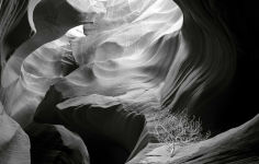 Alternative view 3 of Visions of Paradise: American Wilderness