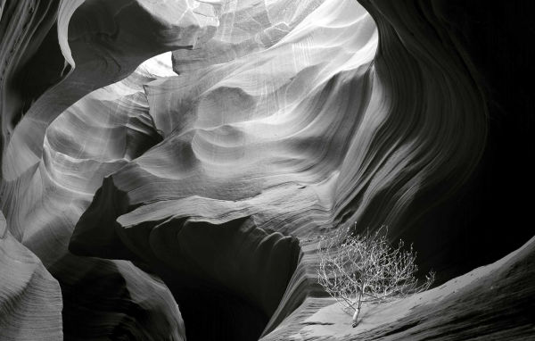 Visions of Paradise: American Wilderness