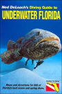 Diving Guide to Underwater Florida