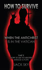 How To Survive When The Antichrist Is In the Vatican: Part 1: How to get to Heaven without a Pope