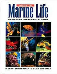 Guide to Marine Life: Caribbean, Bahamas, Florida