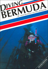 Diving Bermuda
