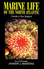 Marine Life of the North Atlantic: Canada to New England
