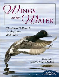 Wings on the Water: The Great Gallery of Ducks, Geese and Loons