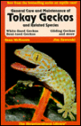 General Care and Maintenance of Tokay Geckos