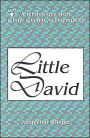 Little David
