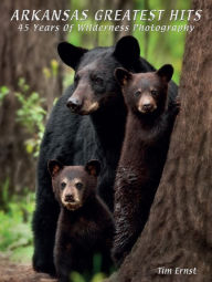Title: Arkansas Greatest Hits: 45 Years Of Wilderness Photography, Author: Tim Ernst