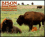 Bison: Distant Thunder