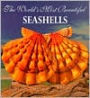 The World's Most Beautiful Seashells