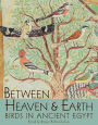 Between Heaven and Earth: Birds in Ancient Egypt