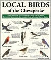 Local Birds of the Chesapeake: Quick-Guide To Commonly Seen Local Birds Instantly Identifies Backyard-Trail and Shore-Water Birds