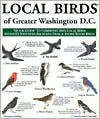 Local Birds of Greater Washington DC: Quick-Guide To Commonly Seen Local Birds Instantly Identifies Backyard-Trail & Shore-Water Birds