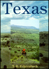 Texas: A Salute from Above