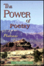 The Power of Poetry: Plateaus and Hurdles
