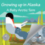 Growing up in Alaska: A Baby Arctic Tern