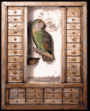 A Convergence of Birds: Original Fiction and Poetry Inspired by the Work of Joseph Cornell