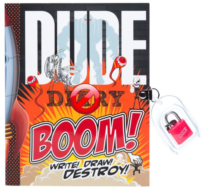 Dude Diary Boom Write Draw Destroy By Mickey Gill Paperback