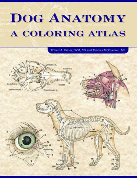 Dog Anatomy: A Coloring Atlas / Edition 1