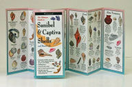 Title: Sanibel & Captiva Shells & Beach Life, Author: Steve Lewers