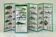Fishes of the Florida's Gulf Coast