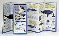North Atlantic Whale Watch