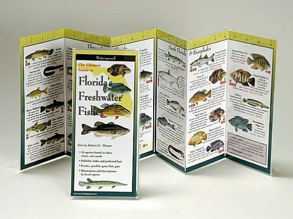 Florida Freshwater Fishes