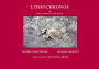 Lithochronos: Or, First Flight of the Stone