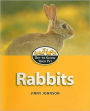 Rabbits