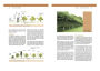 Alternative view 2 of The Fruit Tree Handbook