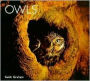 Owls