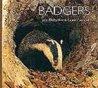 Badgers