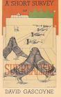 A Short Survey of Surrealism