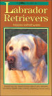A Pet Love Guide to Labrador Retrievers