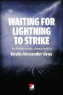 Waiting for Lightning to Strike: The Fundamentals of Black Politics