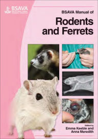 Title: BSAVA Manual of Rodents and Ferrets / Edition 1, Author: Emma Keeble