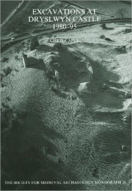 Title: Excavations at Dryslwyn Castle 1980-1995, Author: Chris Caple