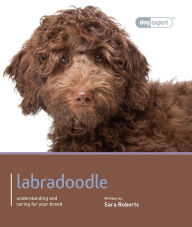 Title: Labradoodle: Pet Book, Author: Sara Roberts