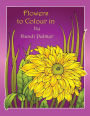 Flowers to Colour In